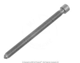 Meyle 1001030026 - TORNILLO CULATA