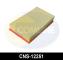 Comline CNS12251 - FILTRO AIRE